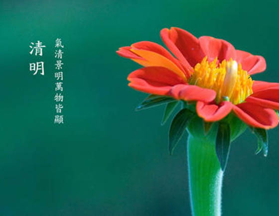 �ൺ��п��